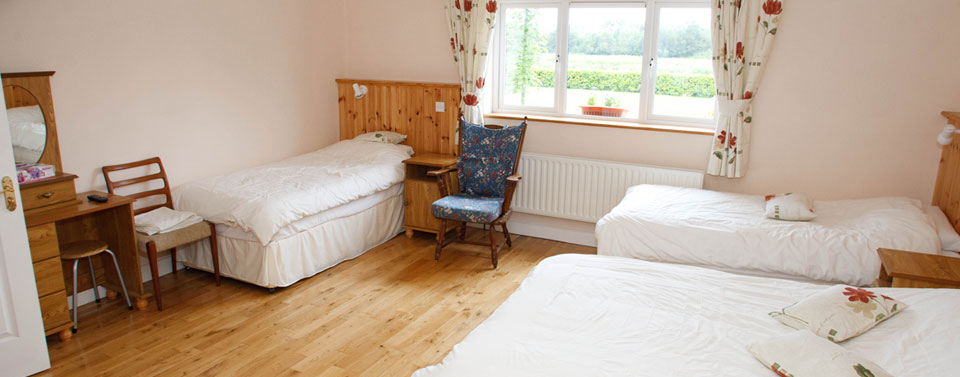 Accommodation in Banagher